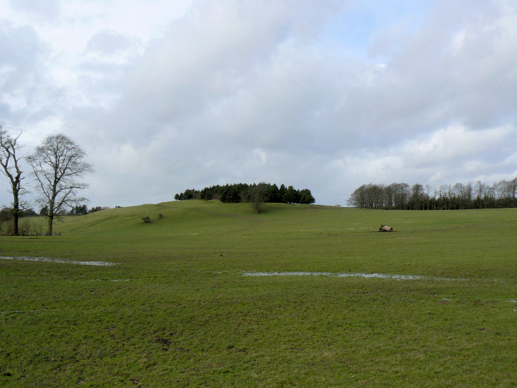Moatless Plantation Moatless Plantation
